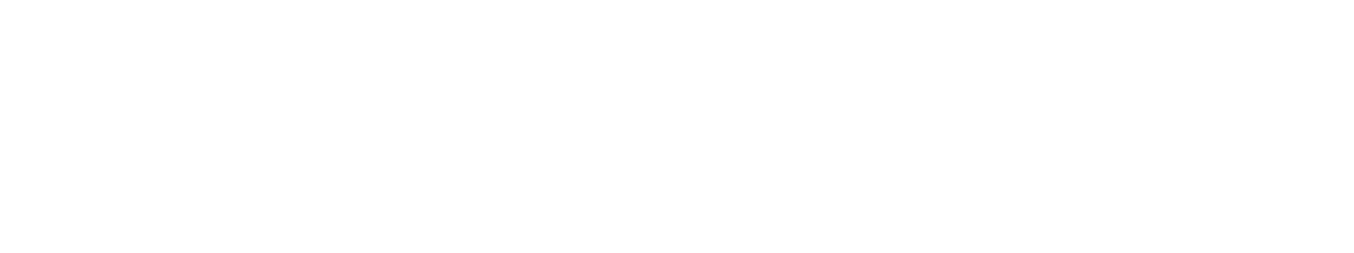 德立迅国际物流有限公司